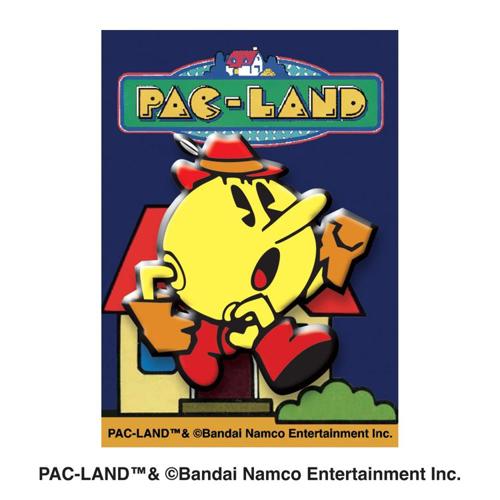 ファミリーカセットケース パックランド & ピンズセット