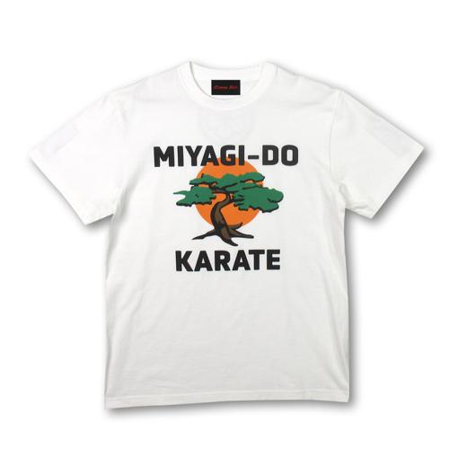 『コブラ会』ミヤギ道カラテロゴ