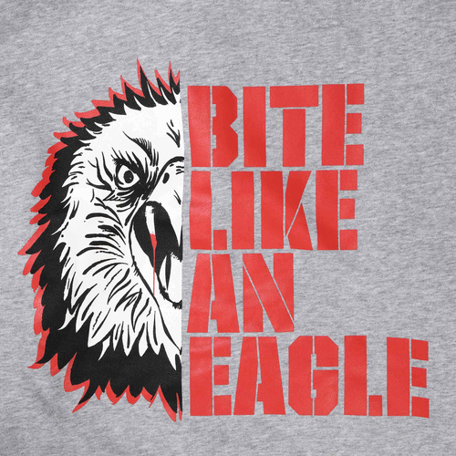 『コブラ会』 BITE LIKE AN EAGLE パーカー (GREY) / XL